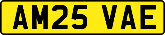 AM25VAE