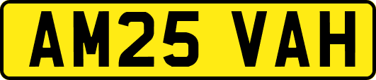 AM25VAH