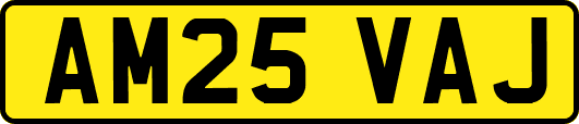 AM25VAJ