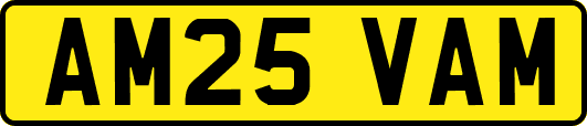 AM25VAM