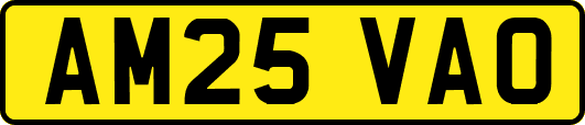 AM25VAO