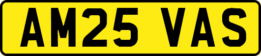 AM25VAS