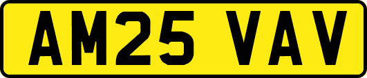 AM25VAV