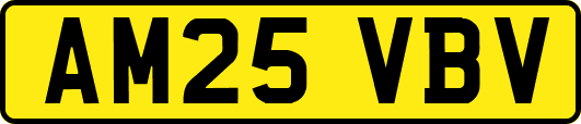 AM25VBV