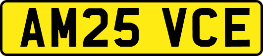 AM25VCE