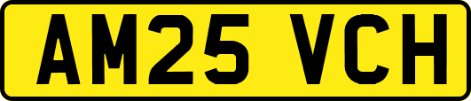 AM25VCH