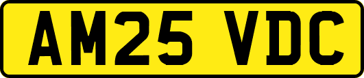 AM25VDC