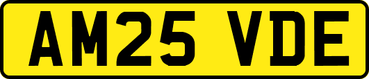 AM25VDE
