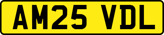 AM25VDL