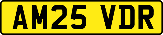 AM25VDR