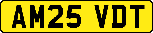 AM25VDT
