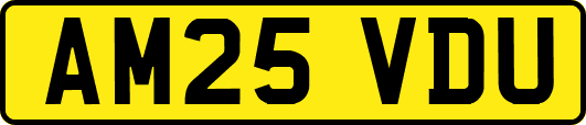AM25VDU