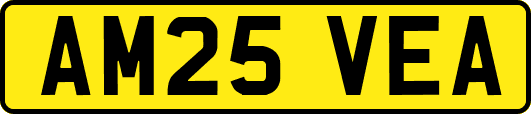 AM25VEA