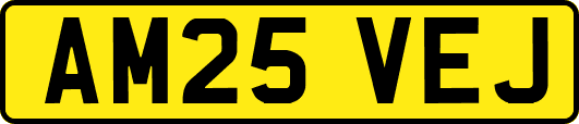 AM25VEJ