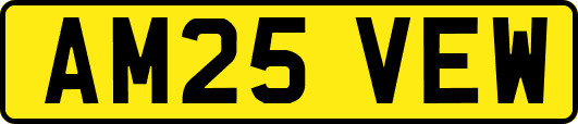 AM25VEW