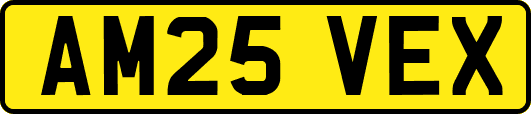 AM25VEX