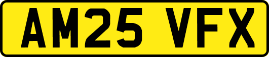 AM25VFX