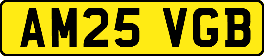 AM25VGB
