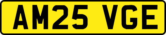 AM25VGE