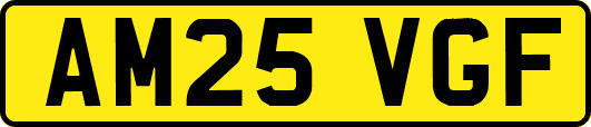 AM25VGF