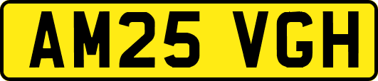 AM25VGH