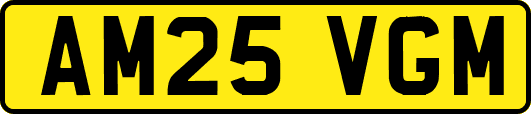 AM25VGM