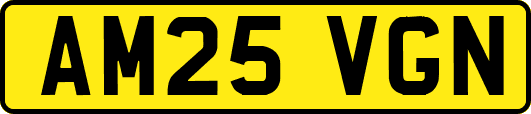 AM25VGN