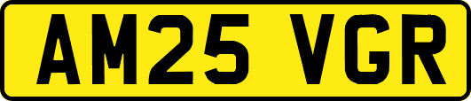 AM25VGR