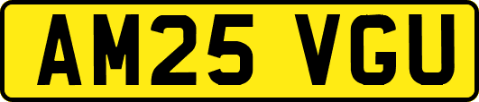 AM25VGU