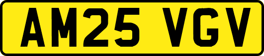 AM25VGV