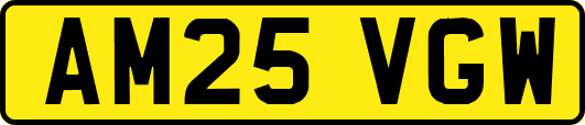 AM25VGW