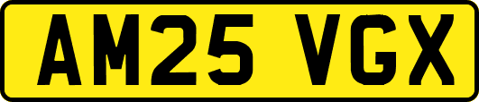 AM25VGX