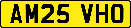 AM25VHO