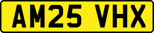 AM25VHX
