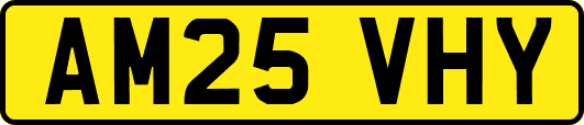 AM25VHY
