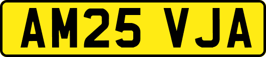 AM25VJA