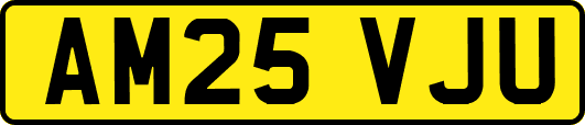 AM25VJU