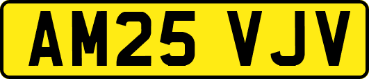 AM25VJV