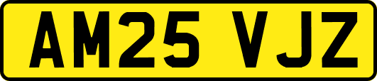 AM25VJZ