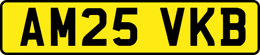 AM25VKB