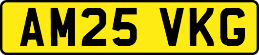 AM25VKG