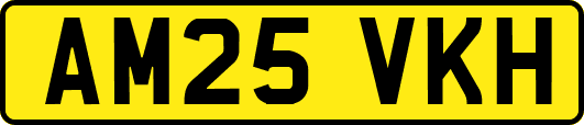 AM25VKH