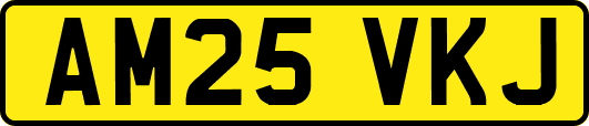 AM25VKJ