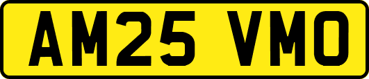 AM25VMO