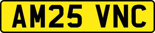 AM25VNC
