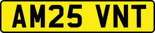 AM25VNT