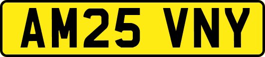 AM25VNY