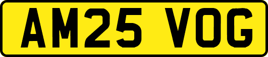 AM25VOG