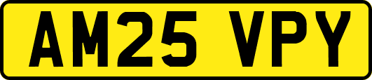 AM25VPY