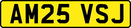 AM25VSJ